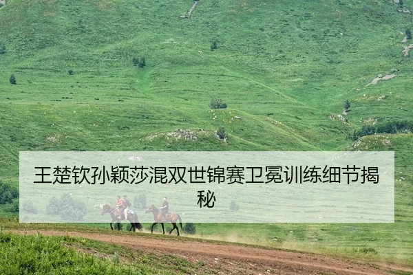 wang-chu-qin-sun-ying-sha-hun-shuang-shi-jin-sai-wei-mian-xun-lian-xi-jie-jie-mi-1-511.jpg